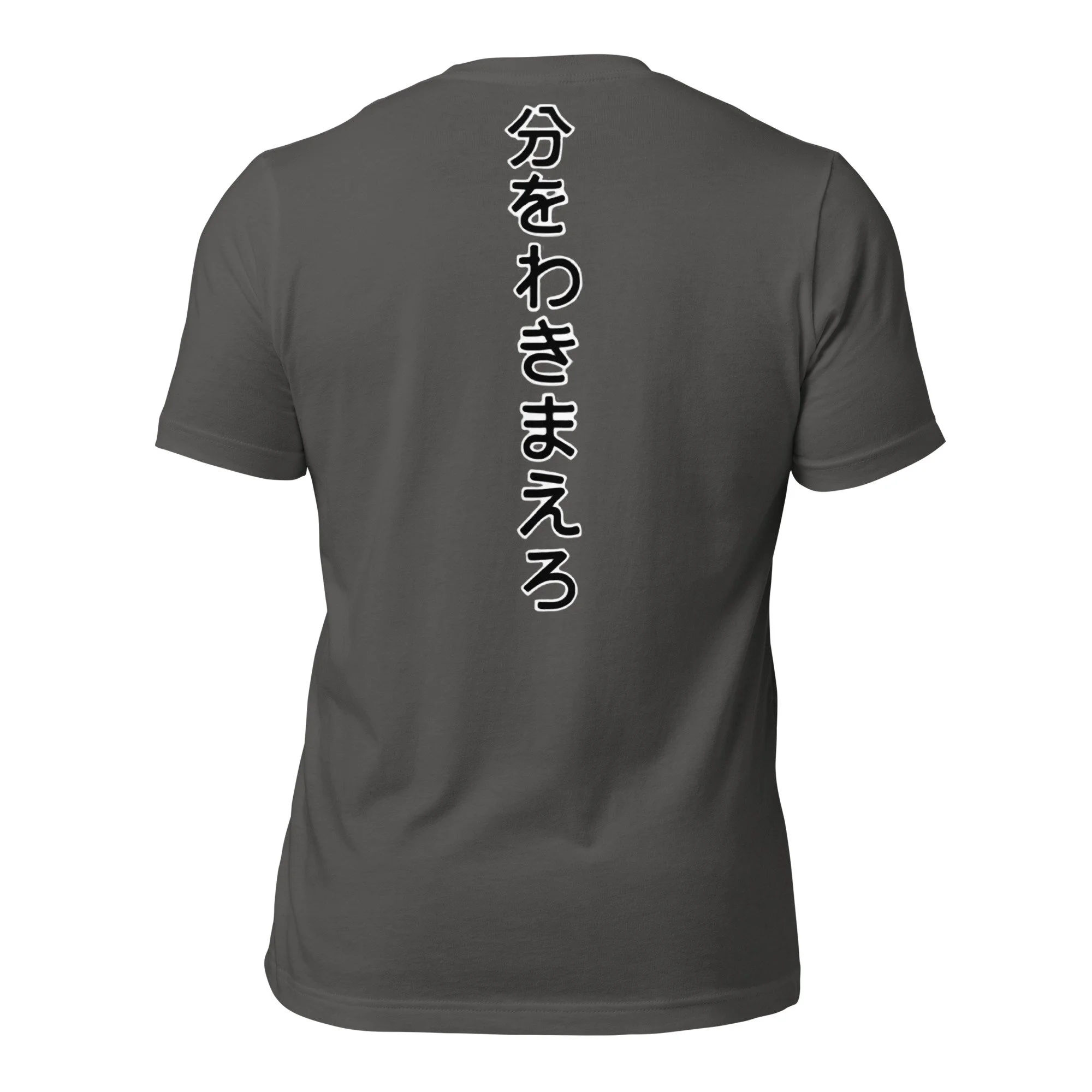 unisex-staple-t-shirt-asphalt-back-658c9d8d81f64.jpg