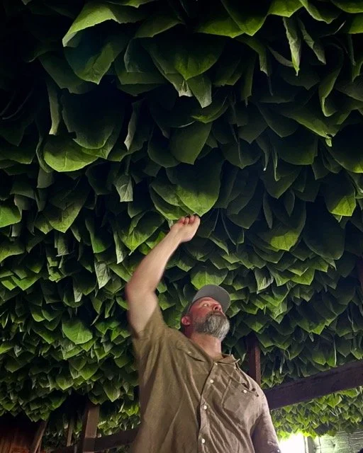 1F672E20-A202-4F0F-997F-FC5E1A2A89D6 Medium.jpeg