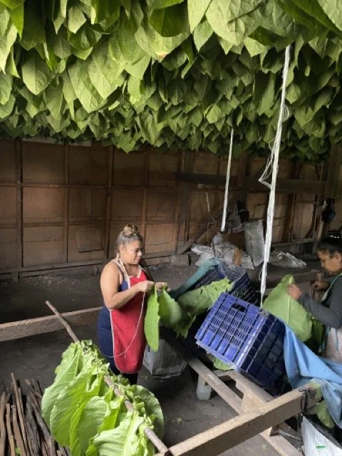 IMG_3281 Medium.jpeg