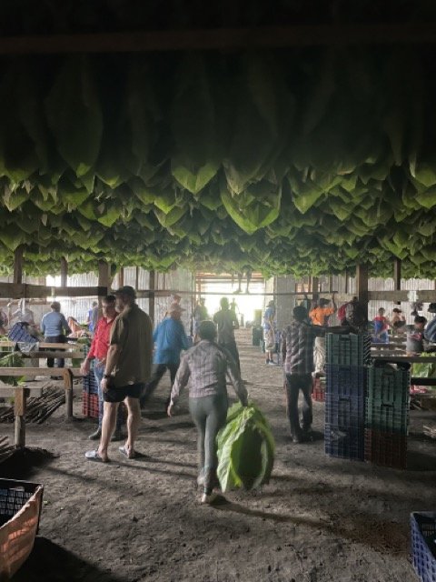 IMG_3269 Medium.jpeg