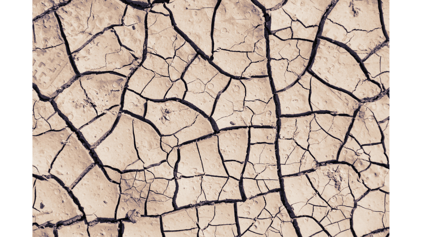 Scarcity: Real or Just a Mindset?