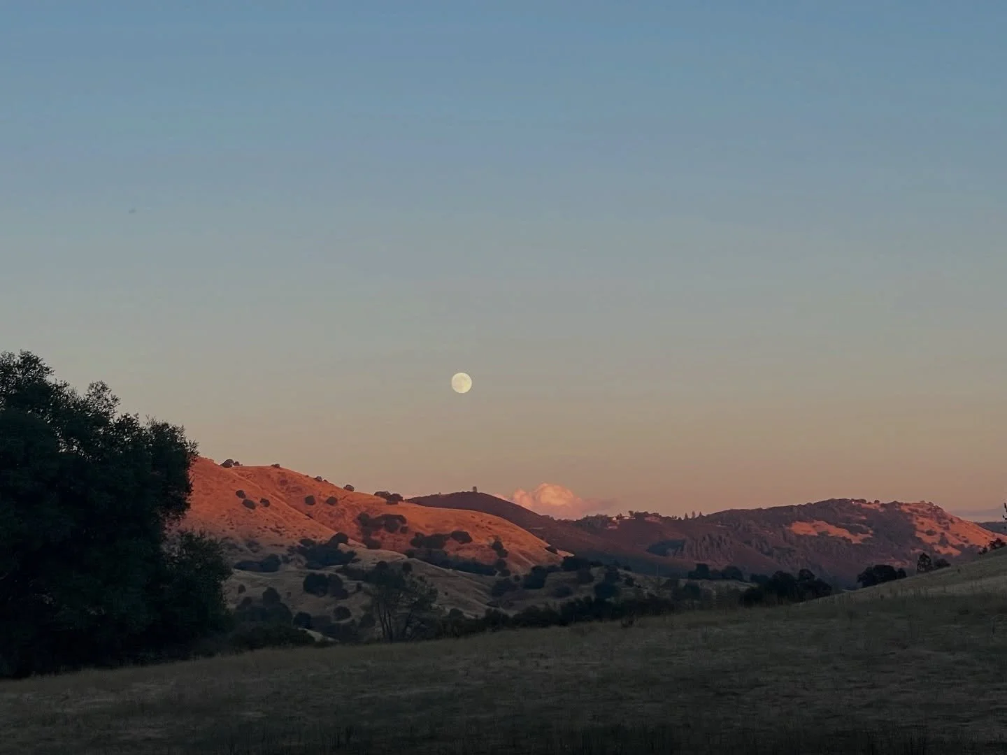 Don&rsquo;t rush to rebuild what&rsquo;s falling apart.

Let it crumble&mdash;if it hasn&rsquo;t already.

Tonight&rsquo;s (Nov 5 early AM) the brightest super moon of the year.

The veils are thin. Endings that have been in process are starting to s
