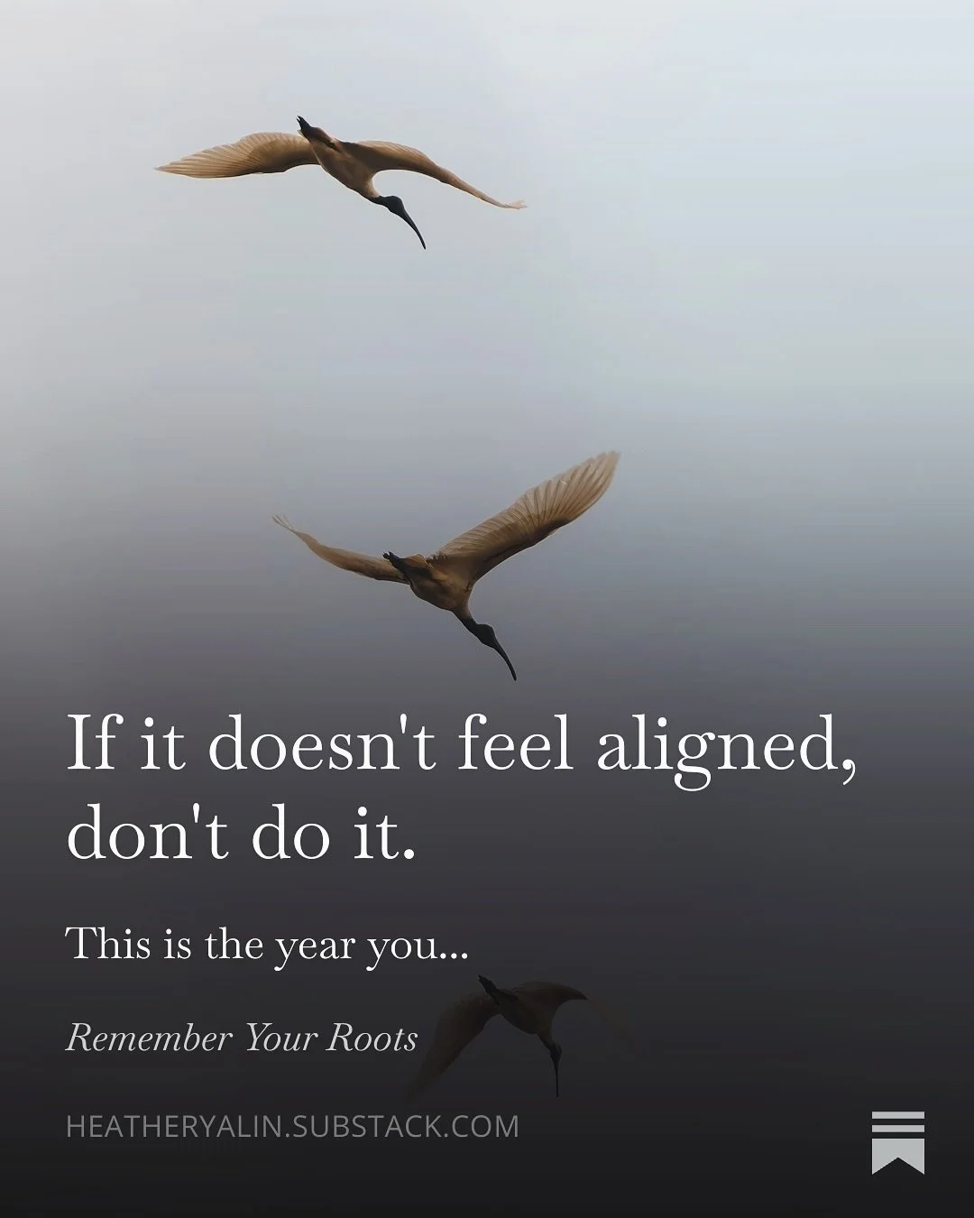Microdose the change you wish to see.

Become it with love + devotion at the speed of your own authenticity.

New beginnings. No rush. Drop the striving. Embodied presence knowing viscerally there&rsquo;s nowhere else to get to.

Arrival is a concept