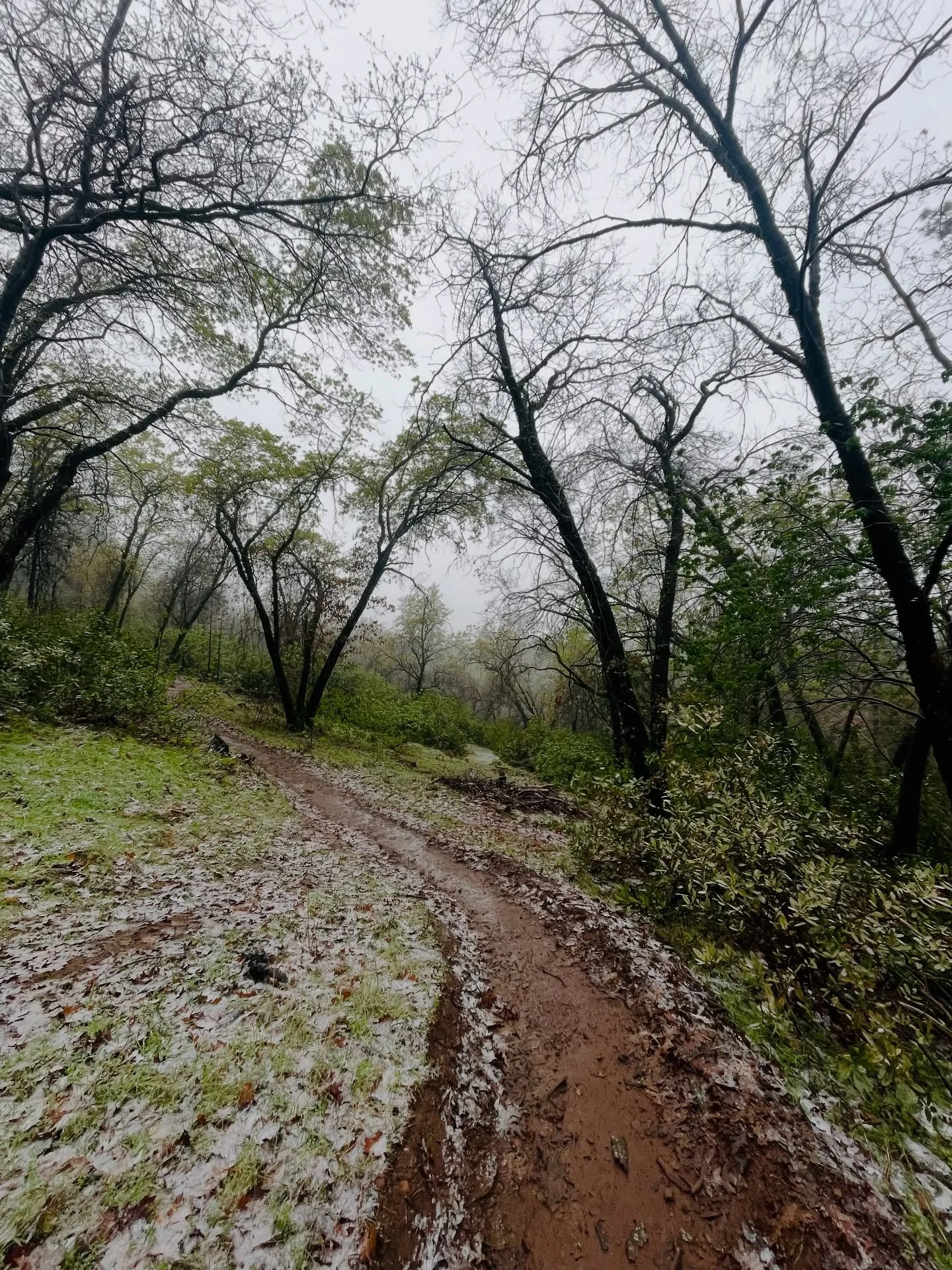 Good things take time. (+ practice.)
All we have is time.

What are you spending your time on?

Your attention is your most precious superpower &amp; commodity.
The platforms &amp; powers want it&mdash;and they want it divided.

Reunify yourself. Loo
