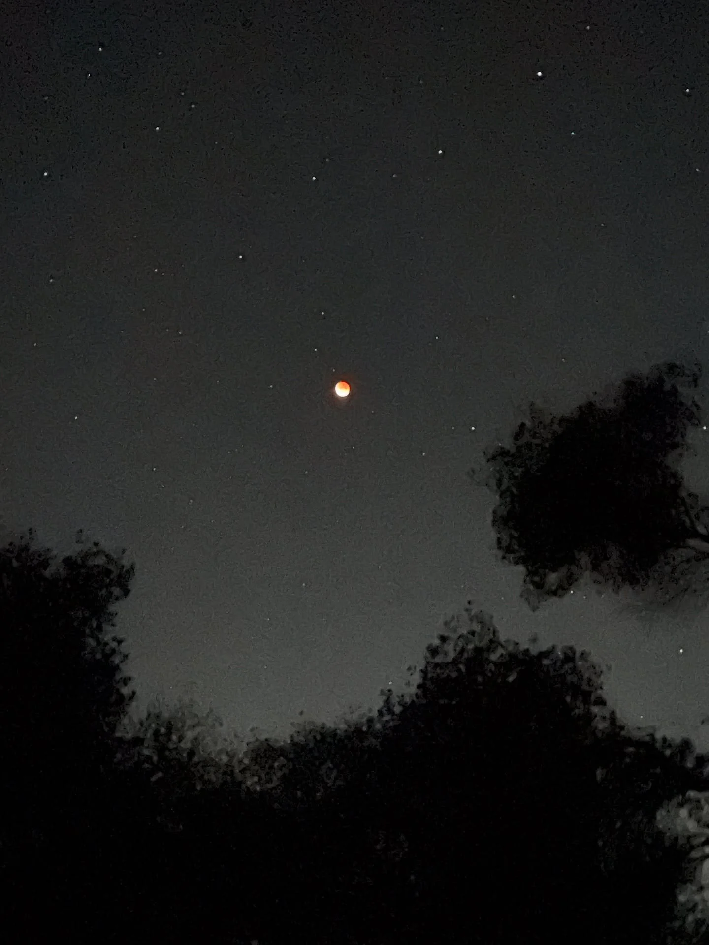 Eclipses are known as shadow events; they unveil what&rsquo;s hidden, can reveal new perspectives, upheaval, chaos, violence, emotional turmoil, inner &amp; outer revolution.

During the peak of a total lunar eclipse, you&rsquo;ll notice the moon cea