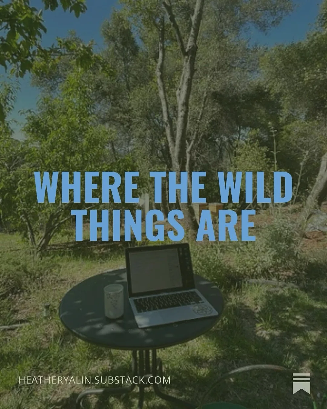 When being quiet and noticing is not only enough, but exactly what&rsquo;s needed to move you forward.

Sense-based meditation on being human:
https://heatheryalin.substack.com/p/where-the-wild-things-are