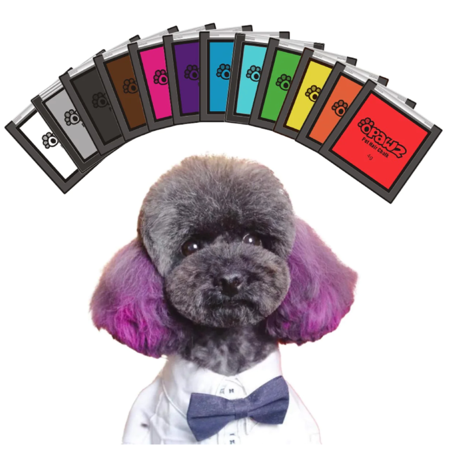 Services — Mutt Kutz, LLC. Dog Grooming Services