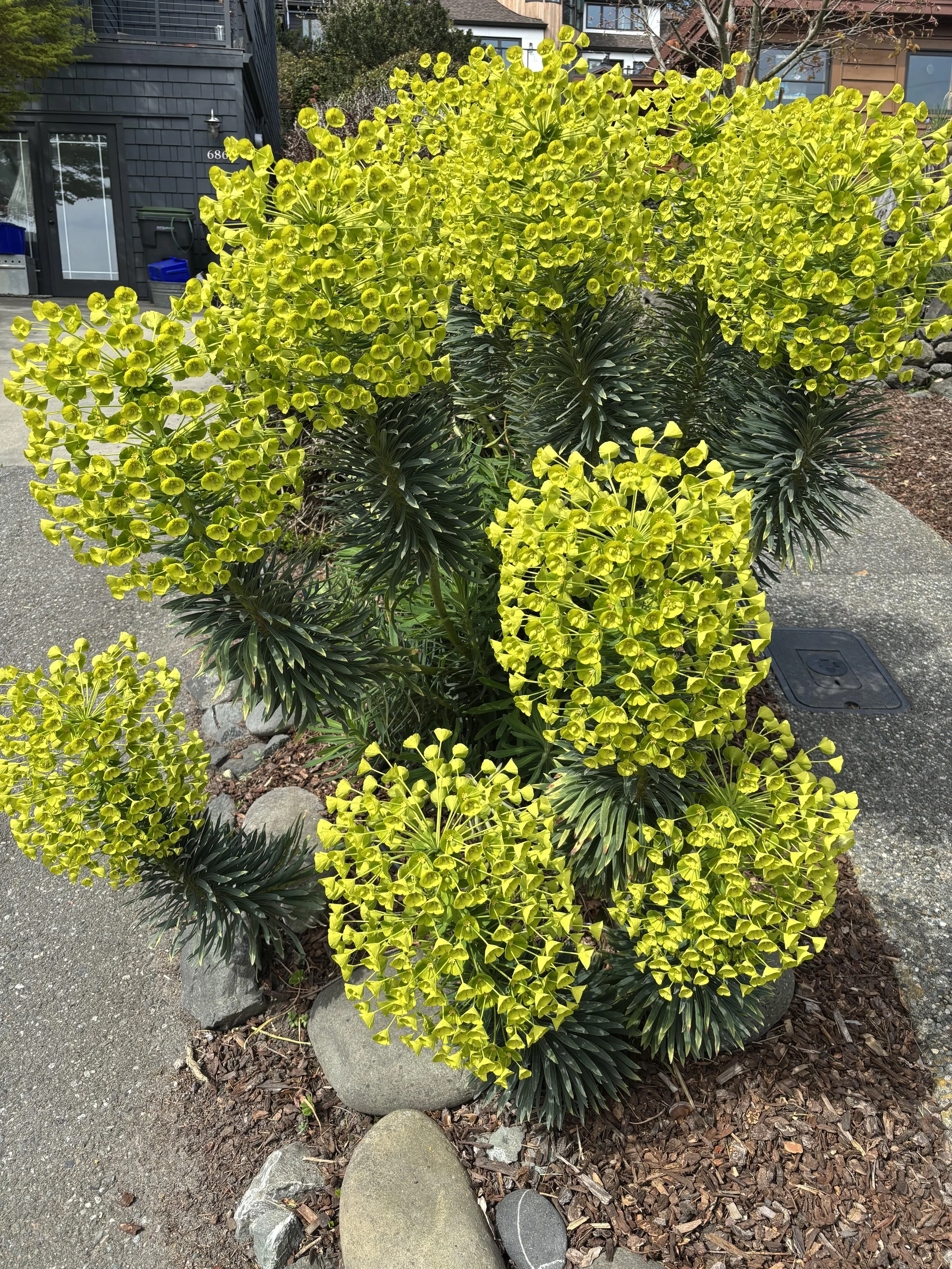 Spring from coast to coast