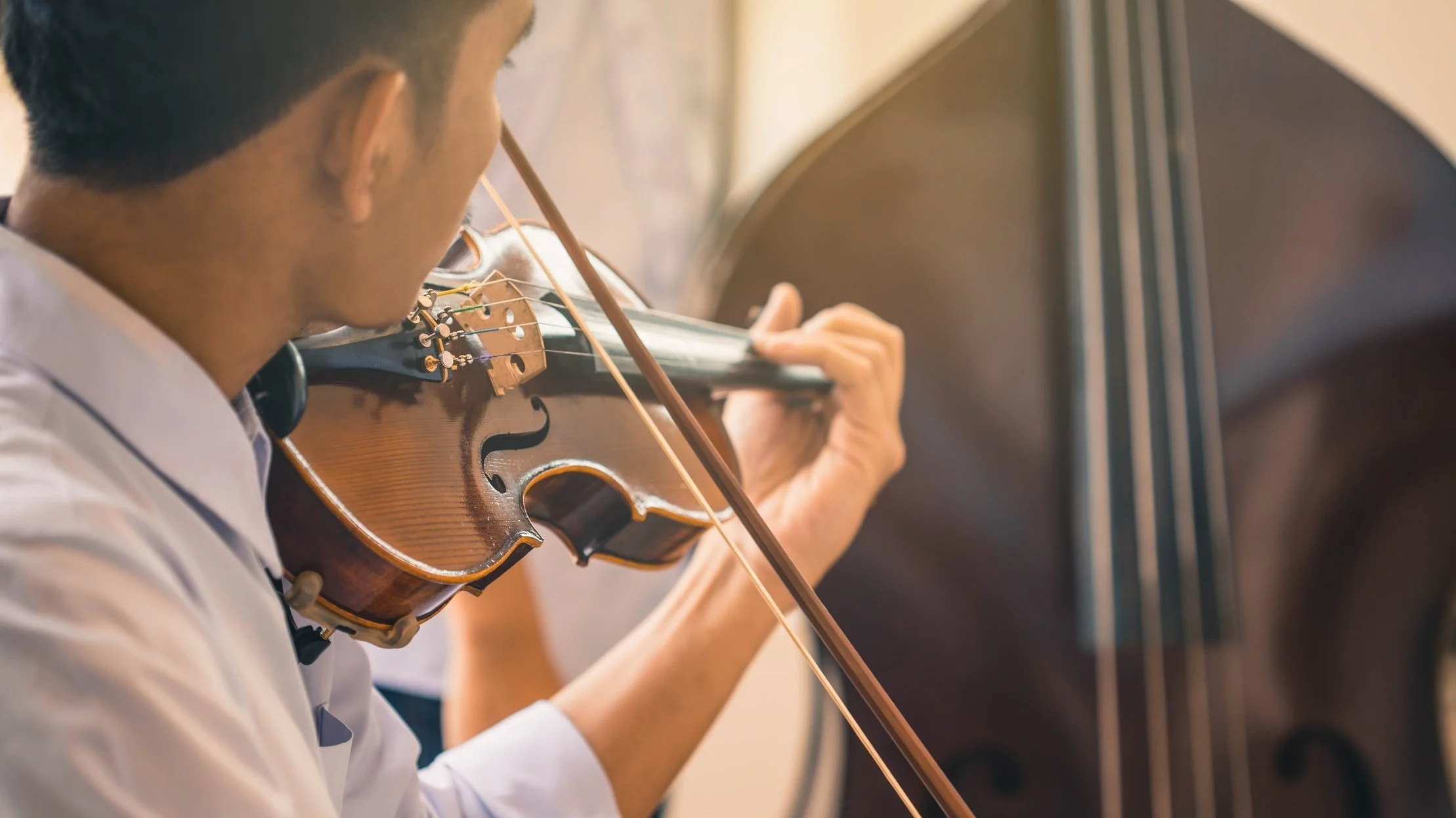 Man playing the violin during a concert in London.