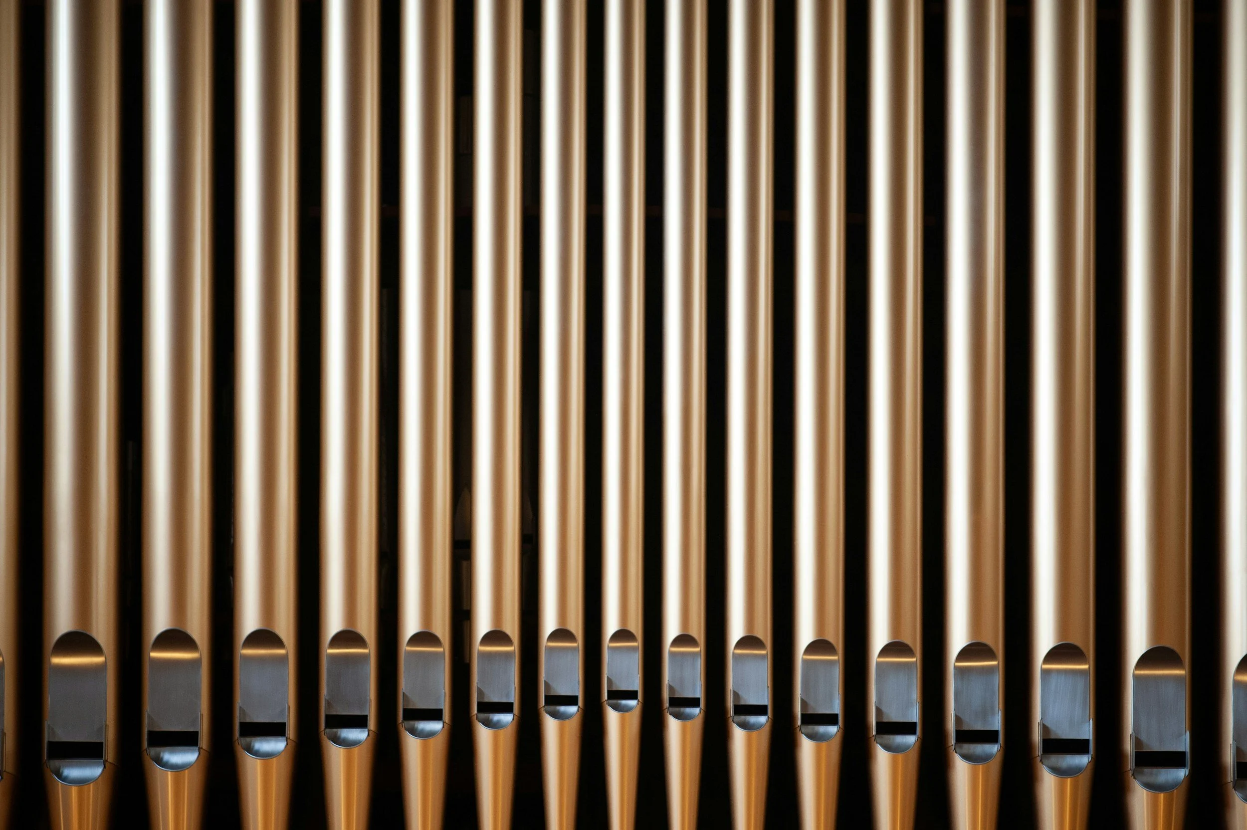 A close-up of organ pipes in London.
