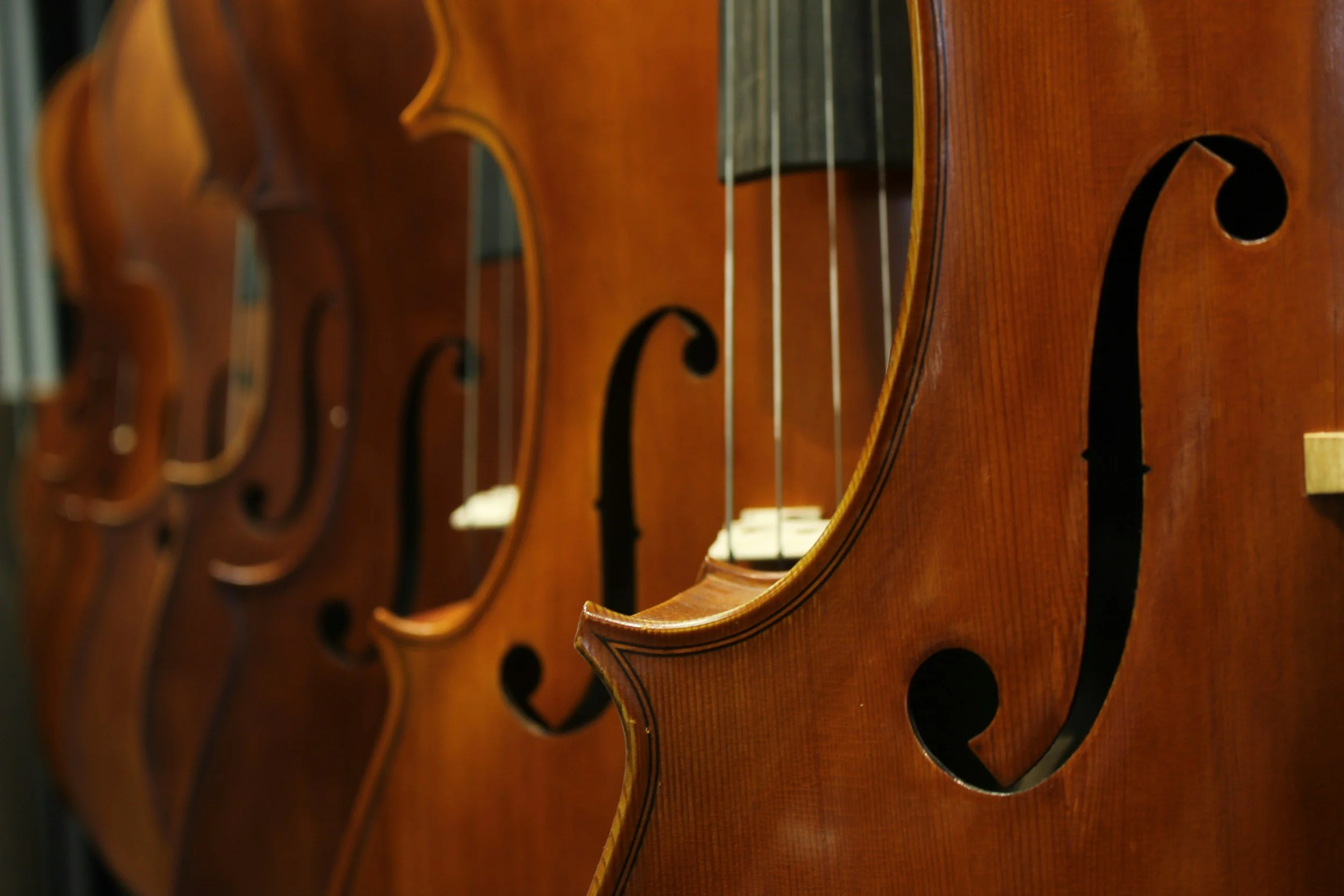 Violins stood in a line with wooden detailing and strings.