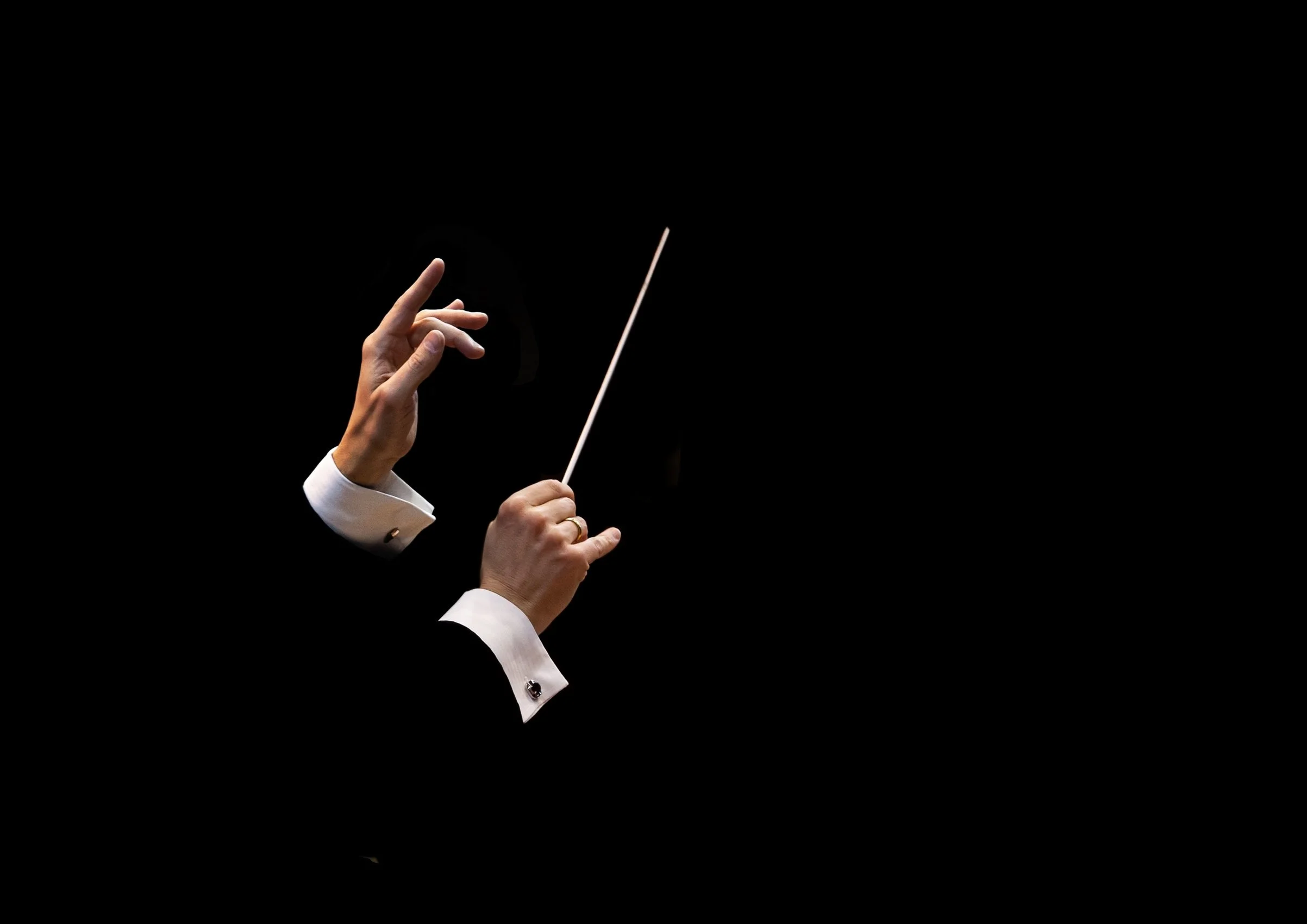 Close-up of conductors hands at a concert.