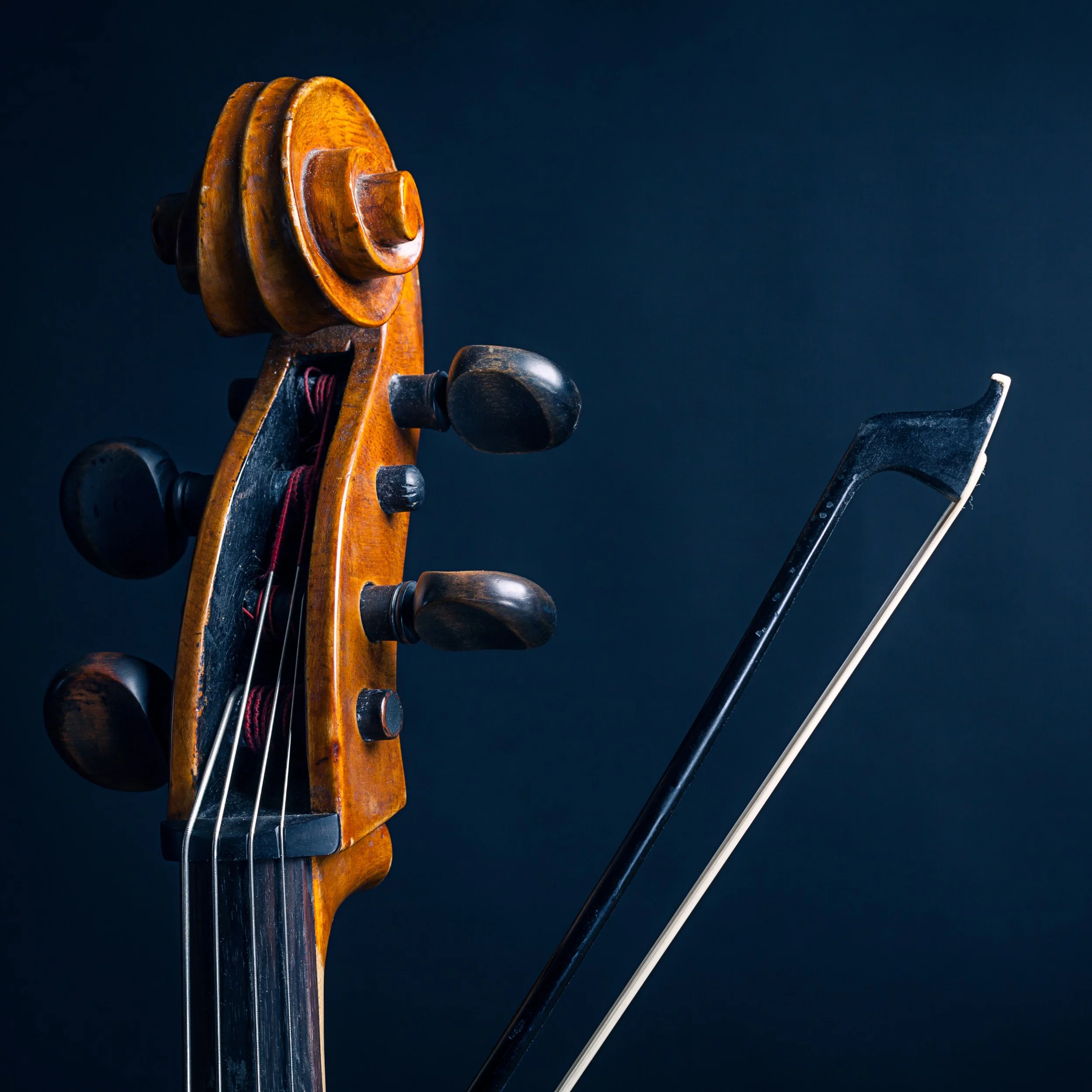 A close-up of a cello and bow in London.