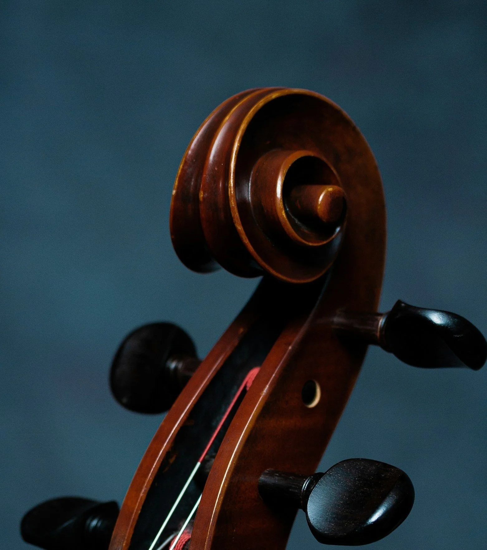 Close-up of wooden string instrument.