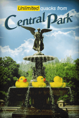 Quacks.gif
