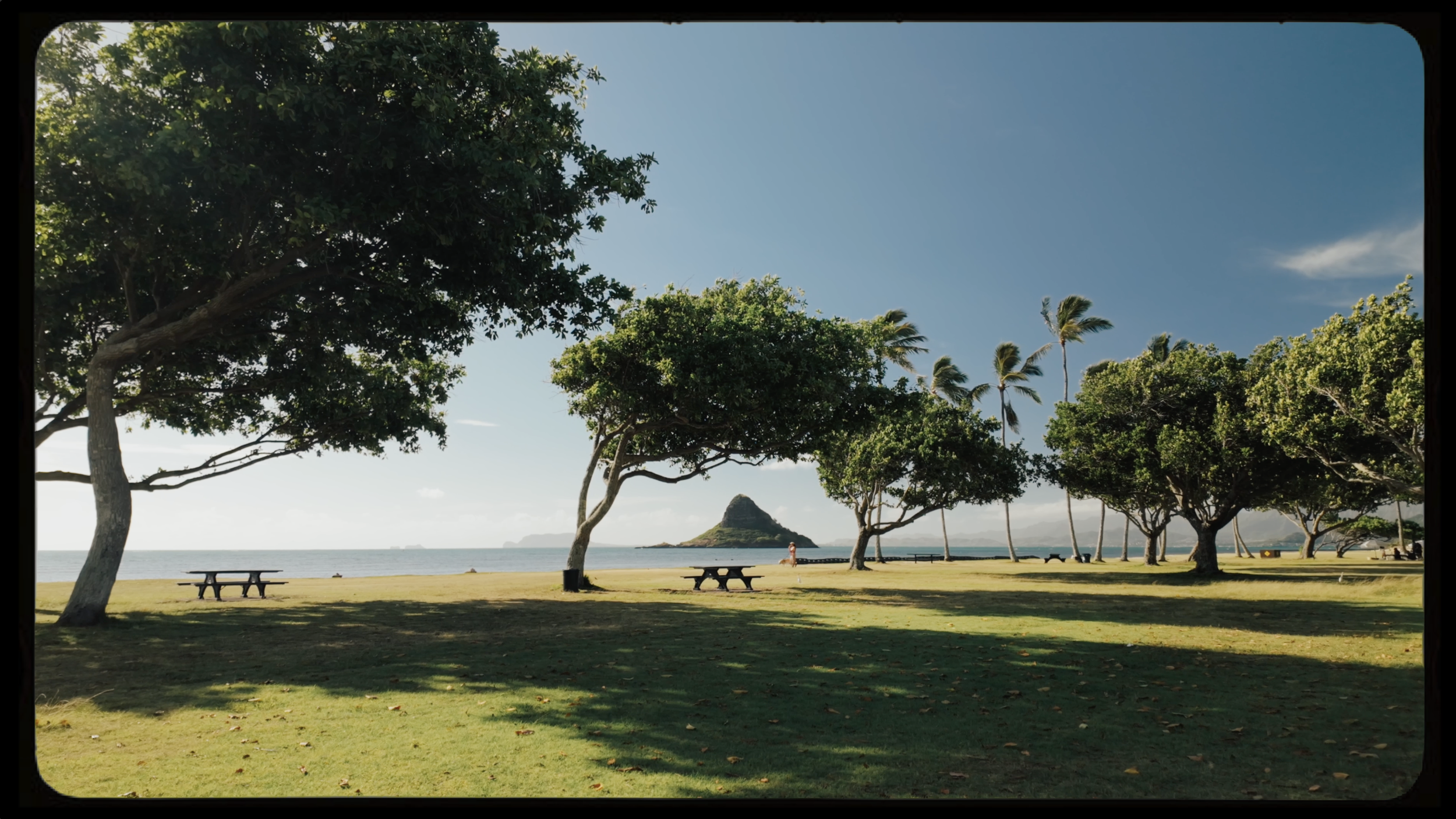 Screenshot 2025-10-14 at 9.15.27 PM.png