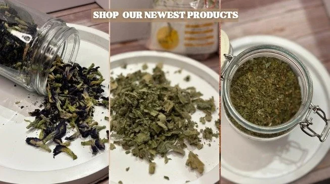 WhatsApp Image 2026-03-04 at 5.37.17 PM.jpeg