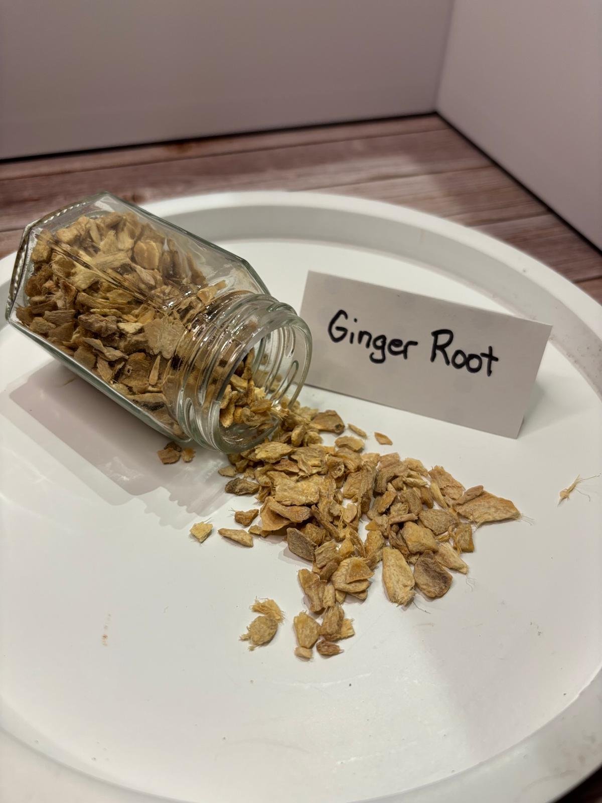 WhatsApp Image 2026-03-02 at 13.20.47 (1).jpeg