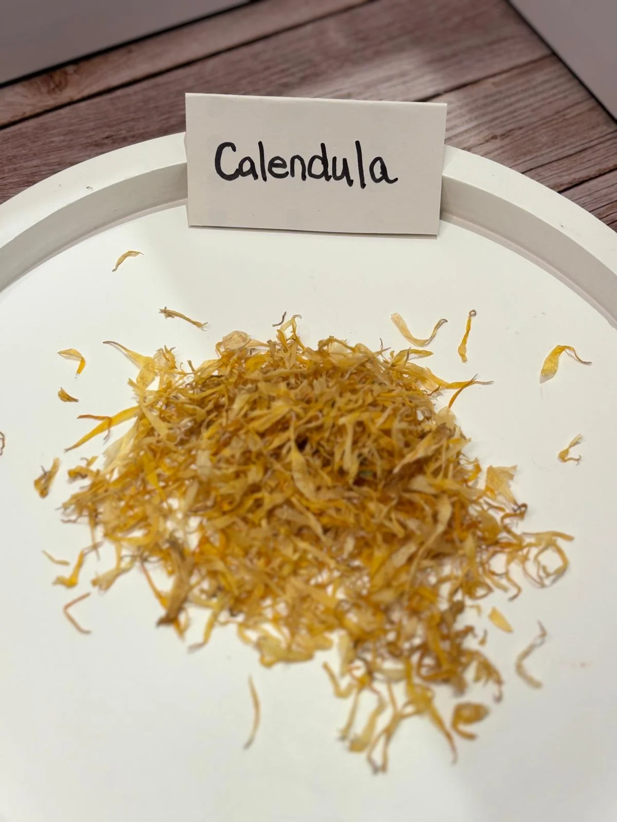 WhatsApp Image 2026-03-02 at 13.20.46.jpeg