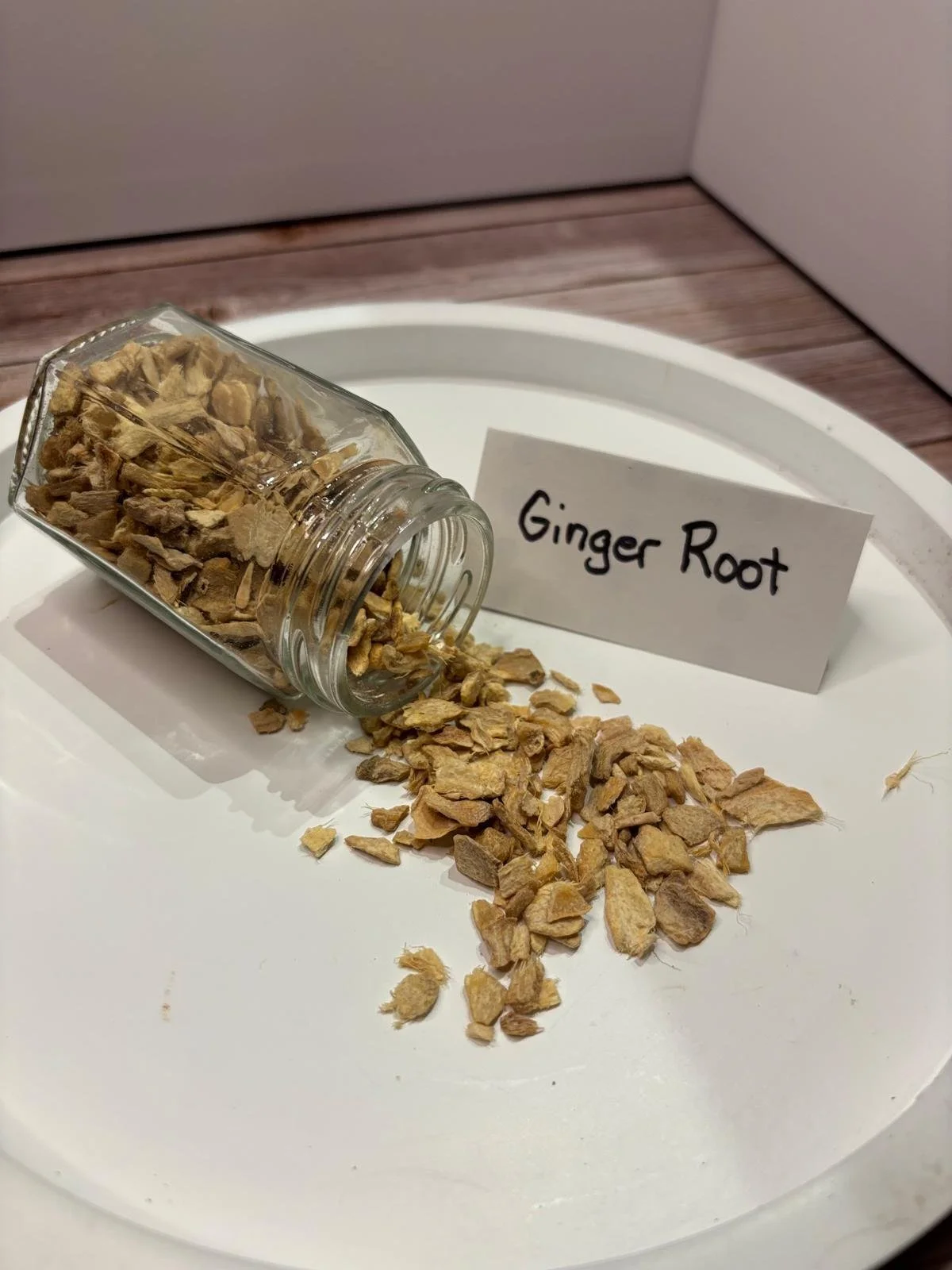 WhatsApp Image 2026-03-02 at 13.20.47 (1).jpeg