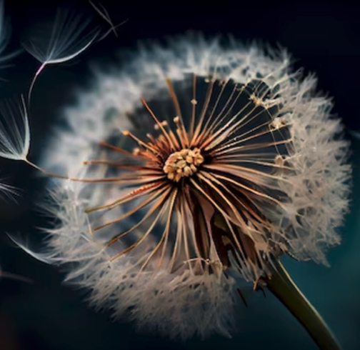 Screenshot 2026-03-12 at 2.49.24 PM.png