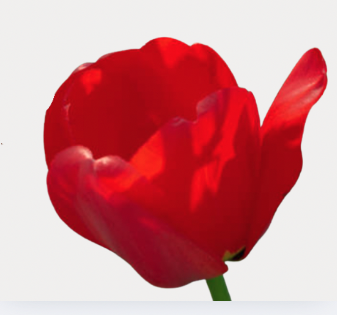 Screenshot 2026-03-11 at 6.16.05 PM.png