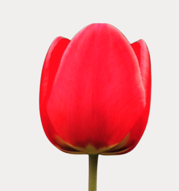 Screenshot 2026-03-11 at 6.17.42 PM.png