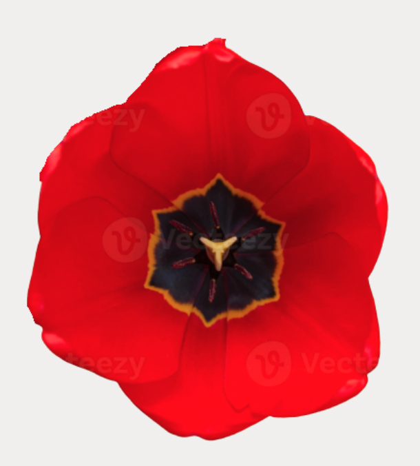 Screenshot 2026-03-12 at 2.24.19 PM.png