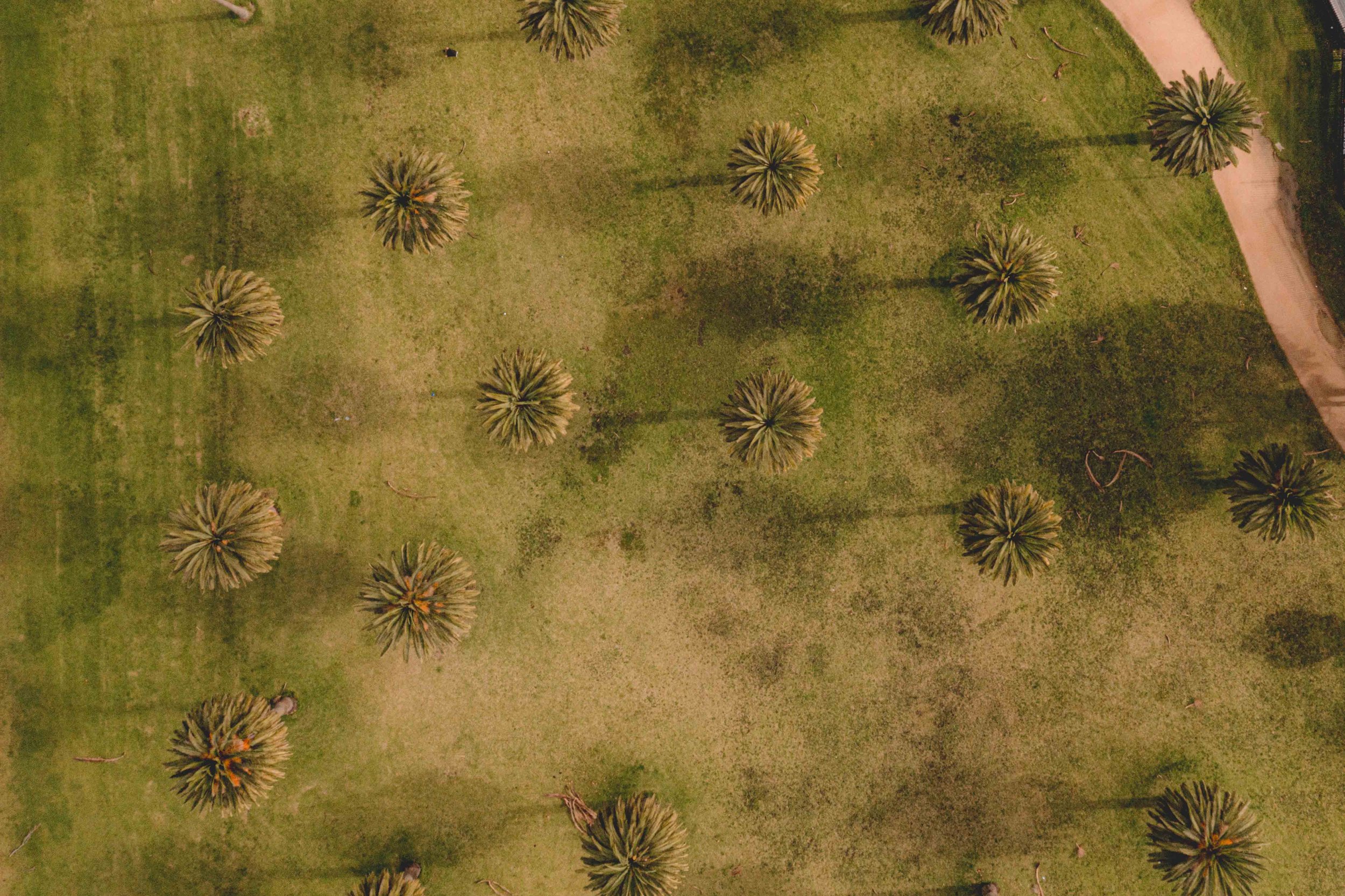 DJI0384.jpg
