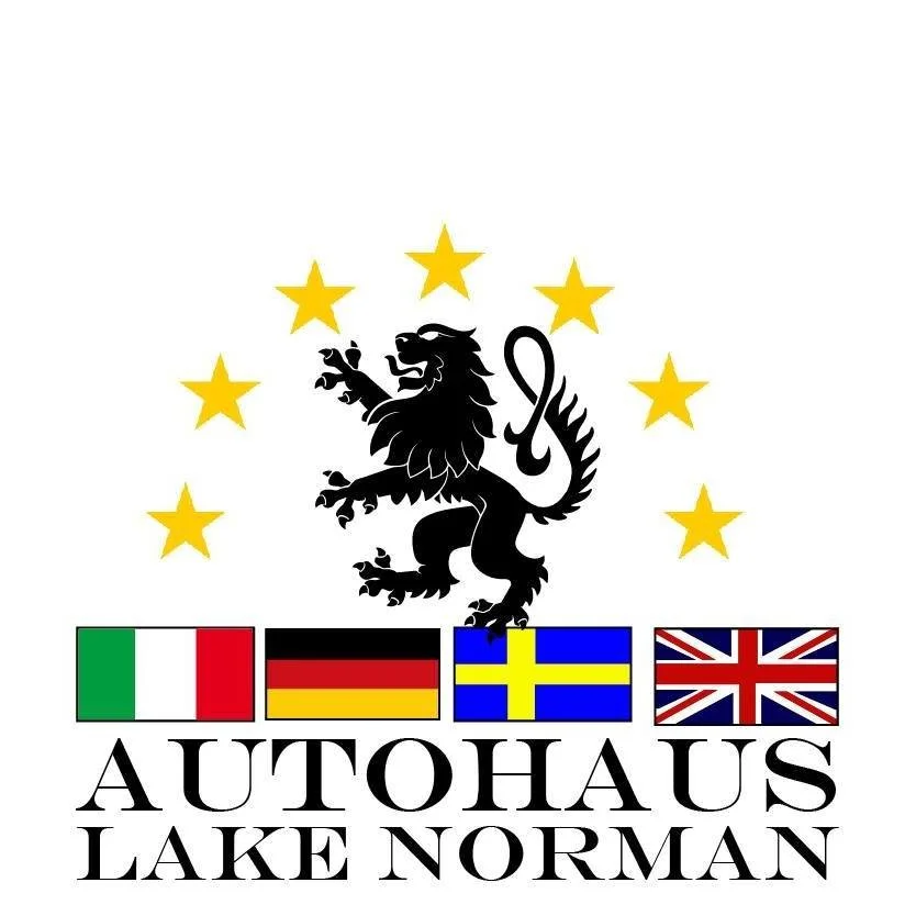 Kickball with Autohaus Lake Norman