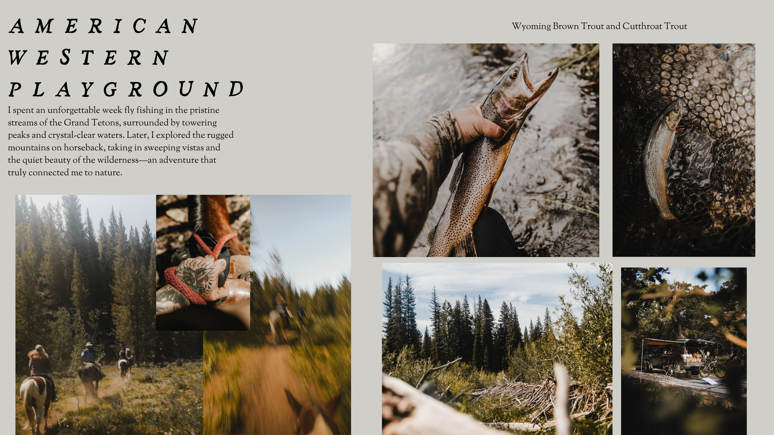 blog about a western trip to the grand tetons photo done by andrew kinsey photo company