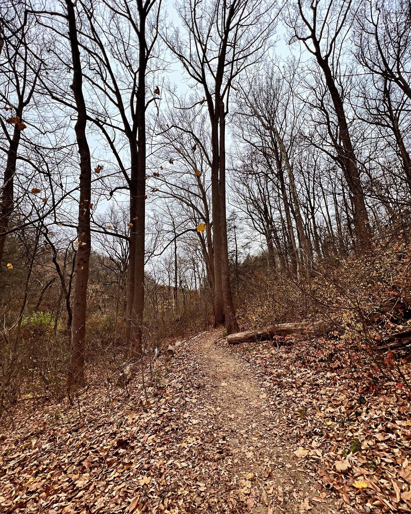 My friends and I have hiked the same trail in Wissahickon for about 4 years now and each season the trail looks so different. &quot;Is this the same trail??&quot; and &quot;Are we going the right way?&quot; were staple questions during our hike yeste