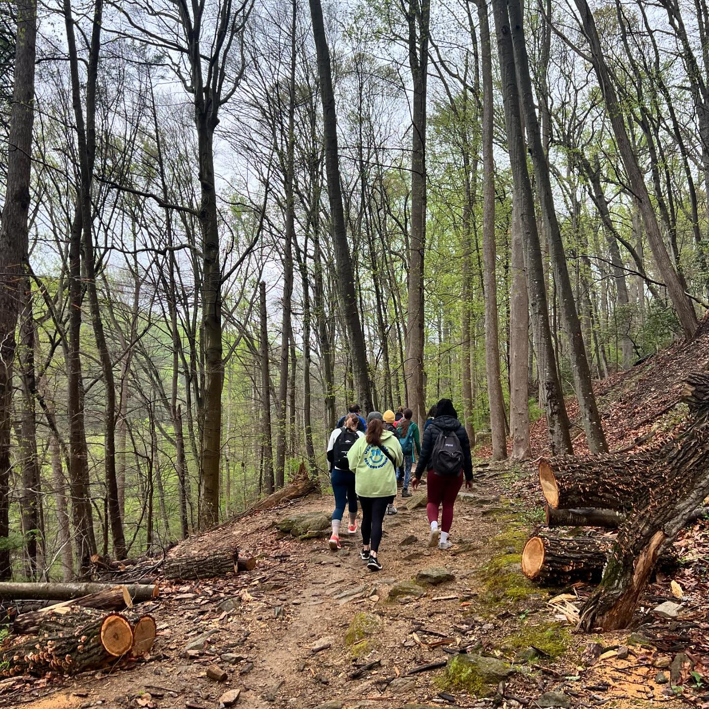 Beautiful &amp; peaceful hike along the Wissahickon today! ☀️🍃

We stumbled upon lots of babbling brooks, tulip tree leaves, cardinals and even a wedding ceremony at Valley Green! 

Thank you to everyone who joined in- it was so nice to seeing new a