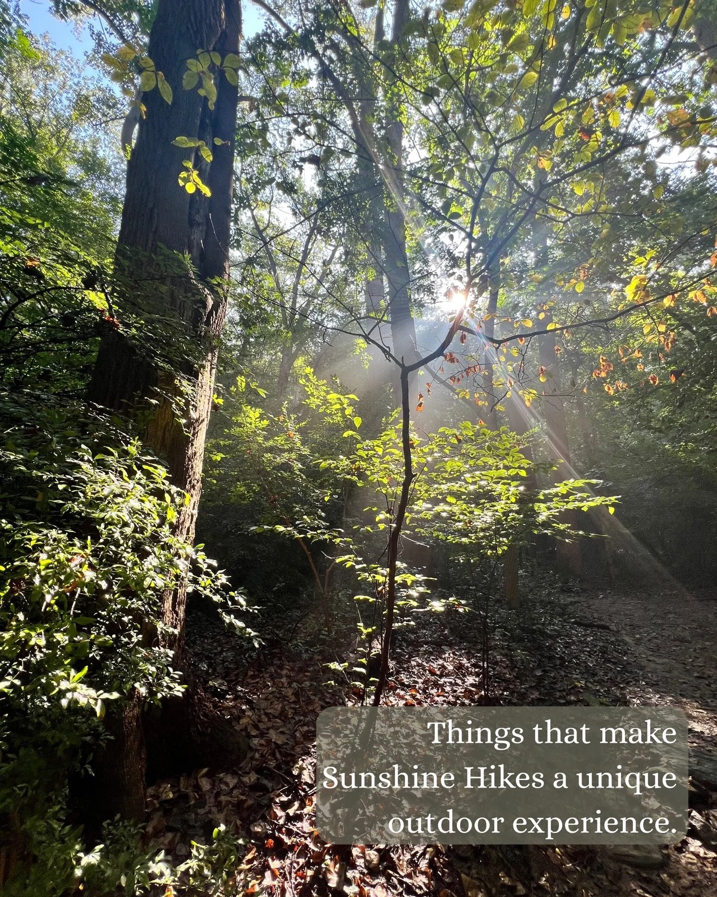 Things that make Sunshine Hikes a ✨unique✨ outdoor experience&hellip;

We&rsquo;re more than just hiking&mdash; we carefully plan the routes, provide snacks and teach mindfulness so you can be fully present and enjoy the nature that surrounds you ☀️?