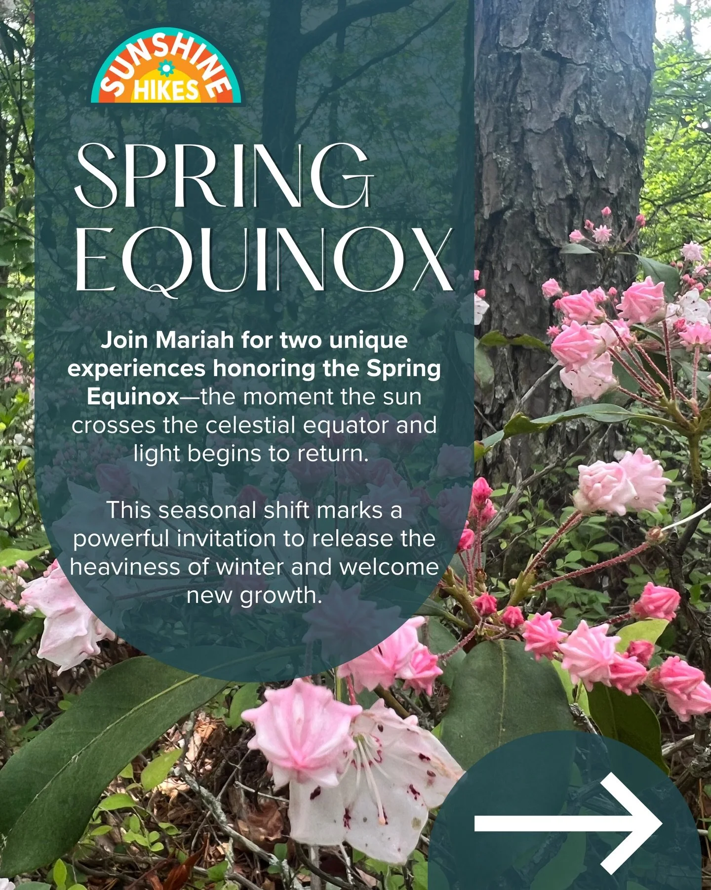 Celebrate the Spring Equinox on Saturday March 21st with us!!☀️☀️

🌿 Peaceful Morning Hike - 9:30am in Wissahickon Valley Park:
-This 3.5 mile hike allows you to disconnect from the digital world and immerse yourself in the natural one. $20 - limite
