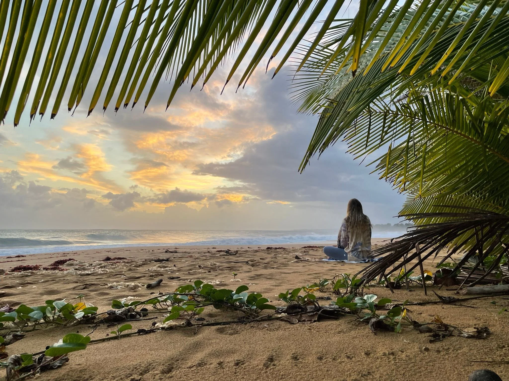 A woman sitting on the sandy beach, facing the ocean during sunset, framed by palm tree leaves.