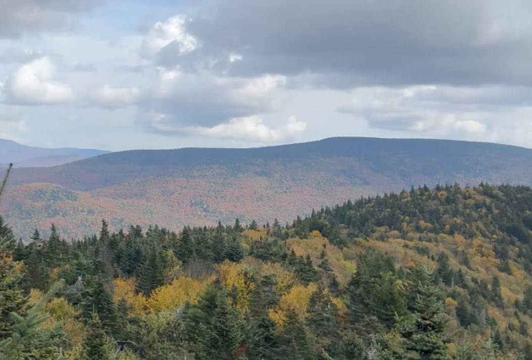 SUNSHINE HIKES _Hikes&Events image size (1).png