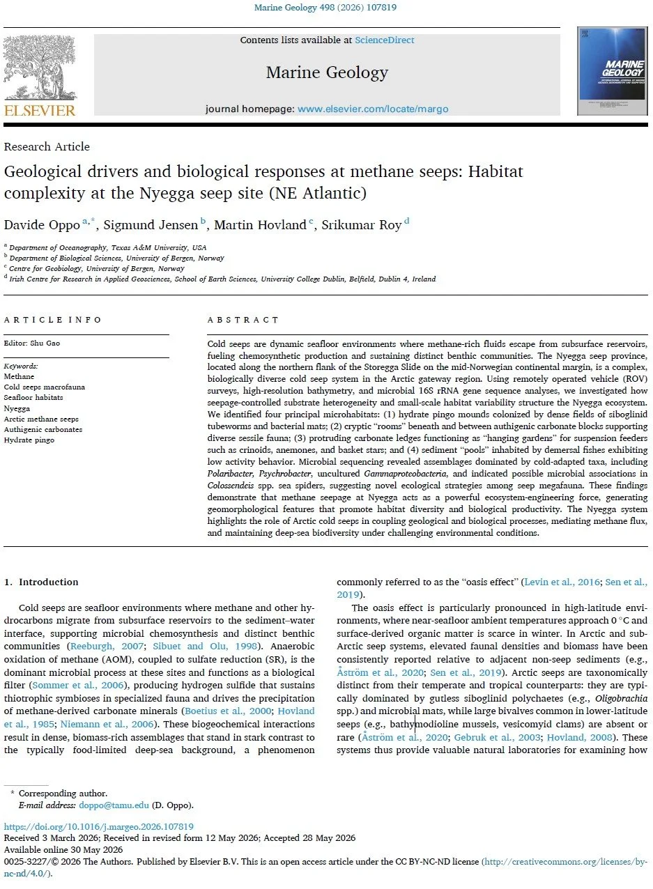 Geological drivers and biological responses at methane seeps: Habitat complexity at the Nyegga seep site (NE Atlantic)