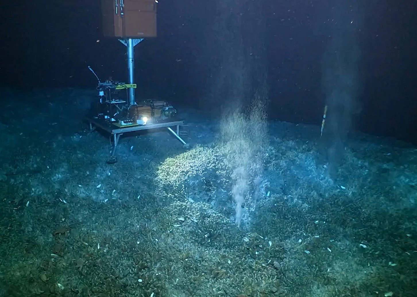 Methane seep on a mussel bed with lander