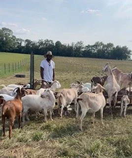 SF and goats - Sylvester Friend.jpeg