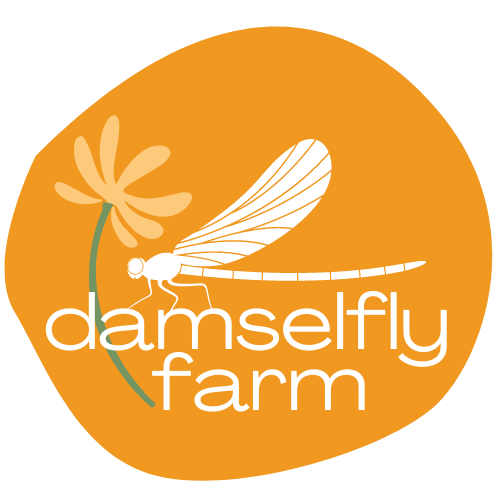 Damselfly Farm
