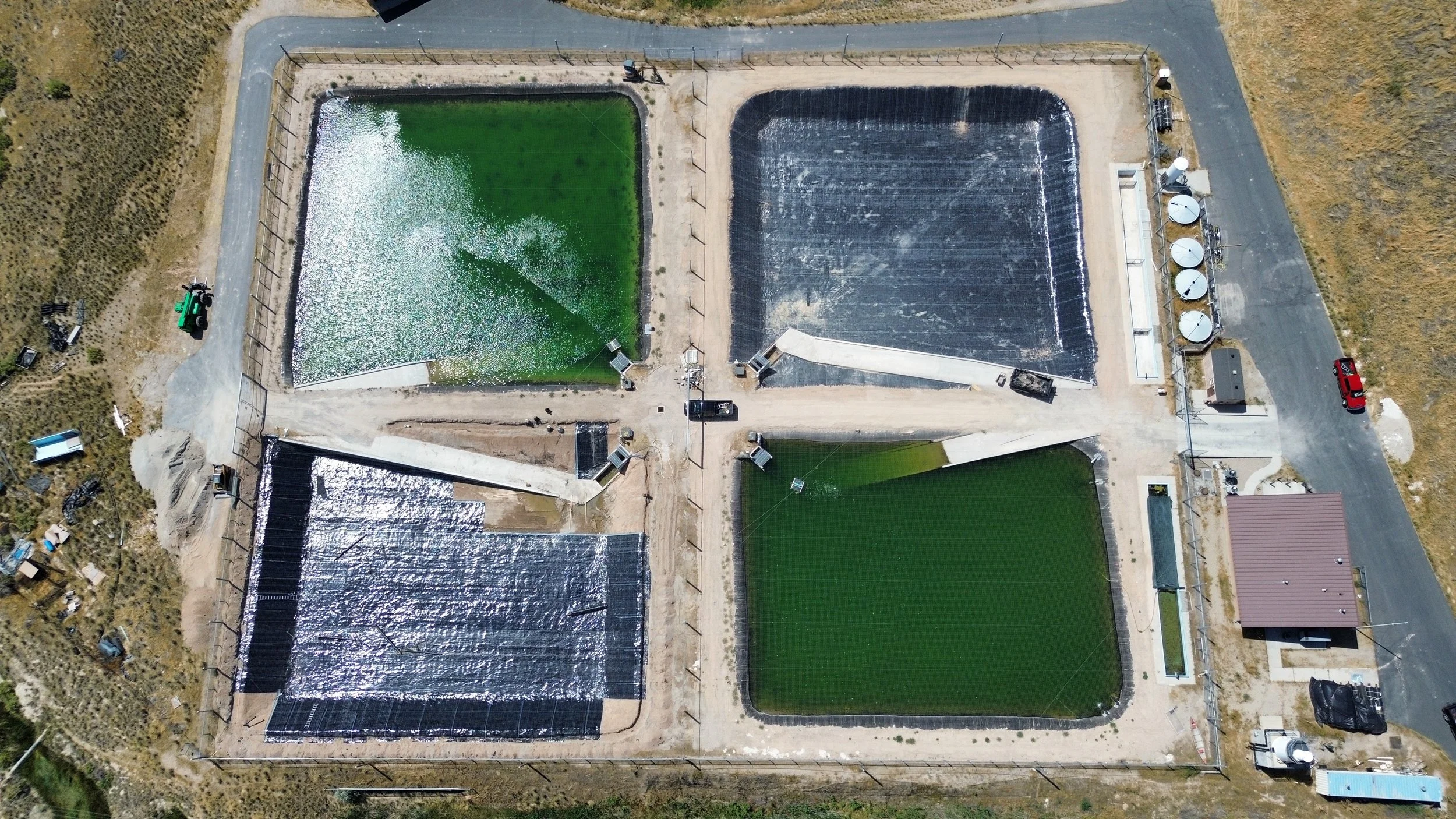 temp_image_for_default_share 2.png