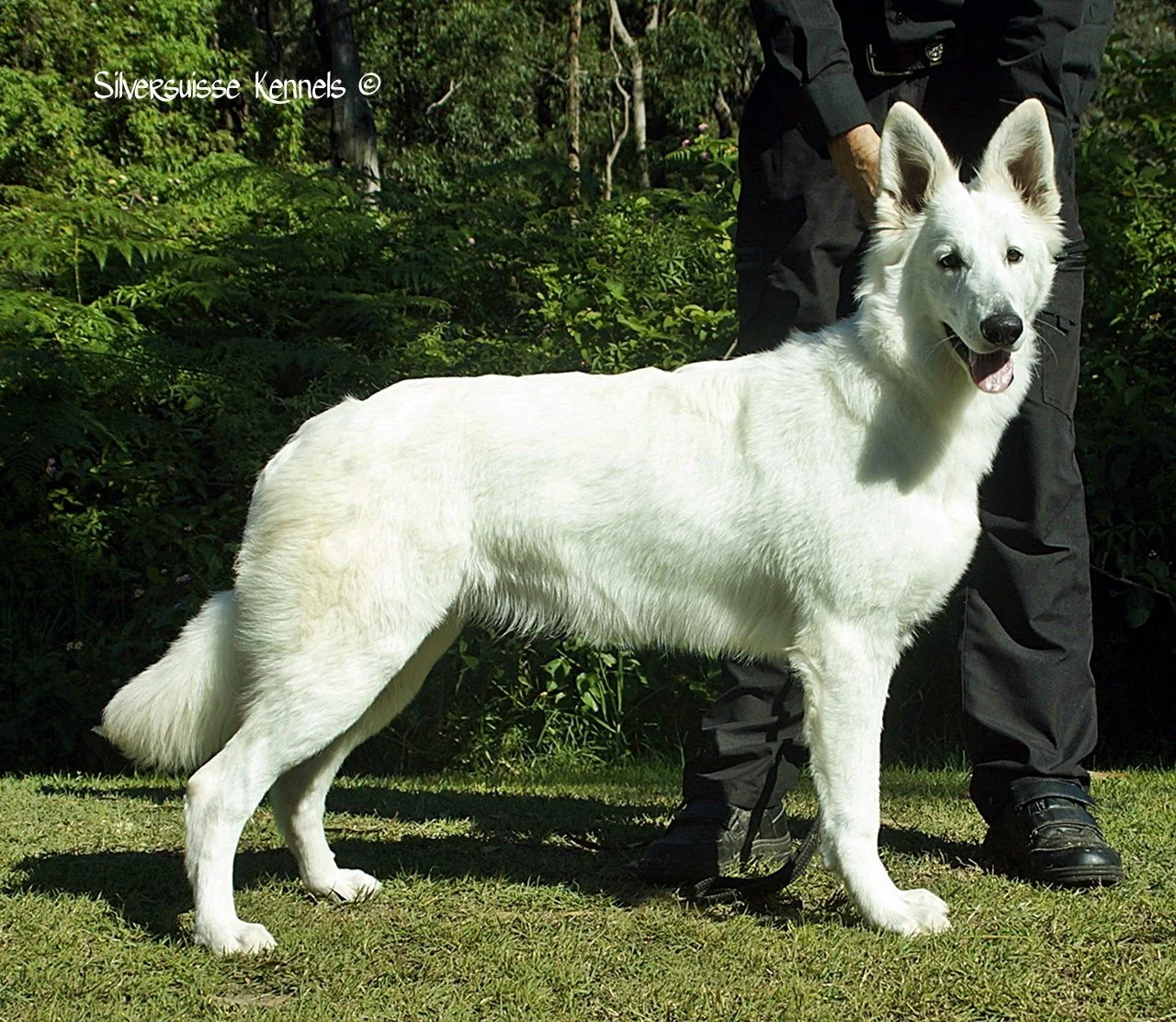 may19 stack2-001.JPG