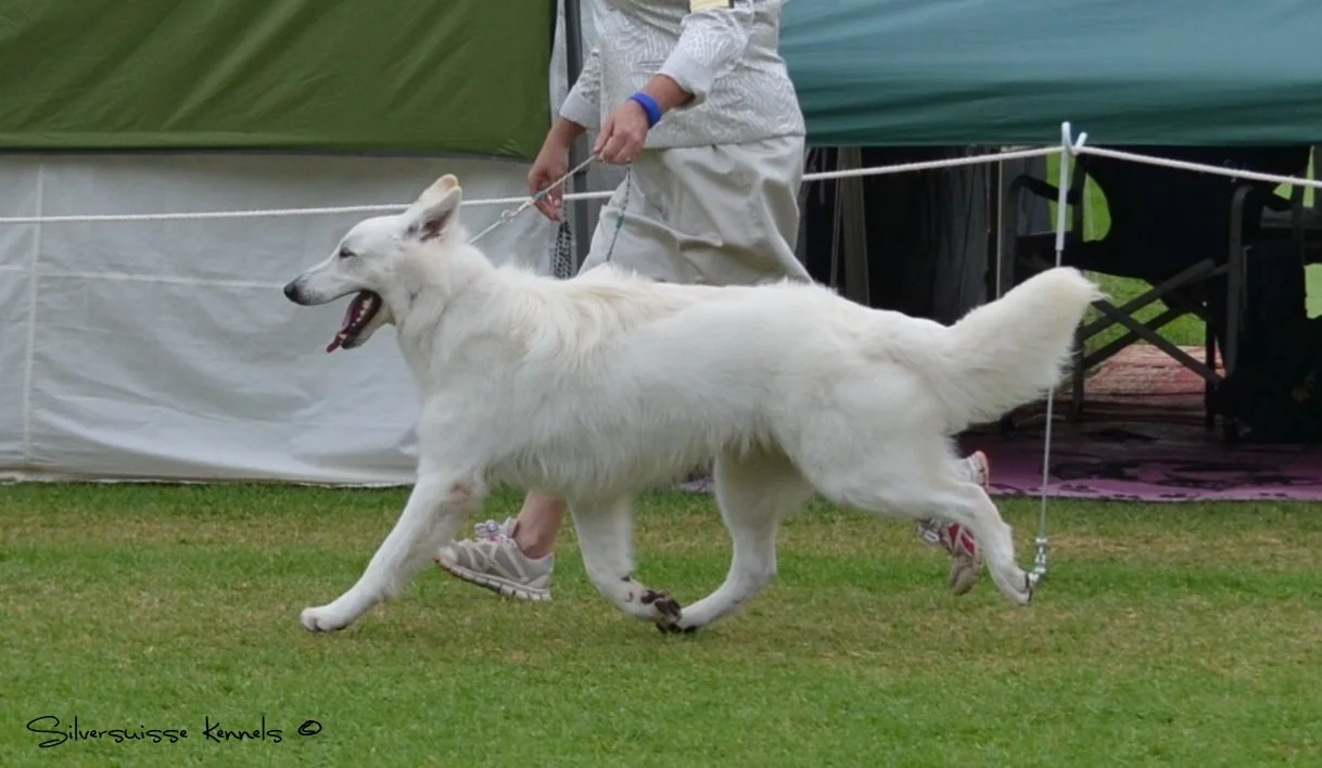 DSC_0087 - Copy-001.JPG