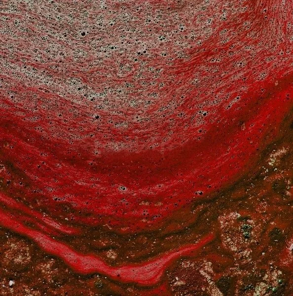 Astaxanthin: Meet The Potent Antioxidant Supercharging Your Skincare Regimen