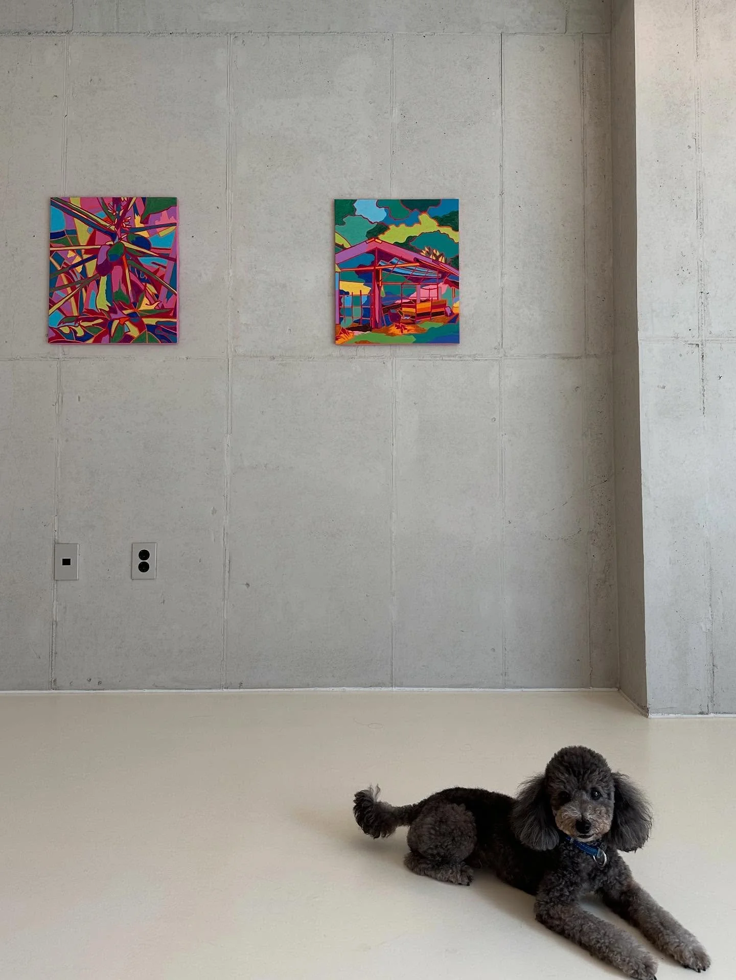 We love furry friends!  Feel free to stop by with your pets 🐾

저희는 반려동물을 환영합니다!  언제든 함께 방문해 주세요 🐾
