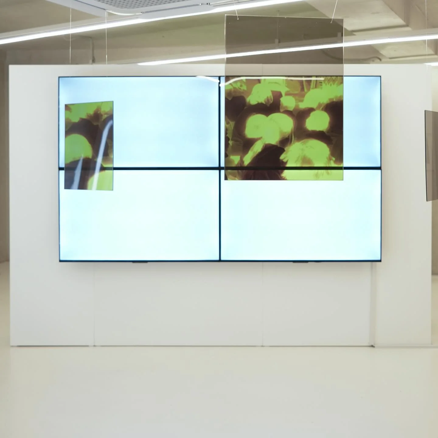 ✨ Final Days ✨ Don&rsquo;t miss the chance to experience Sareena Sattapon&rsquo;s &lt;All That Glitters&gt;, closing this Saturday. Come encounter a striking new installation created specifically for this Seoul exhibition: an invitation to look beyon