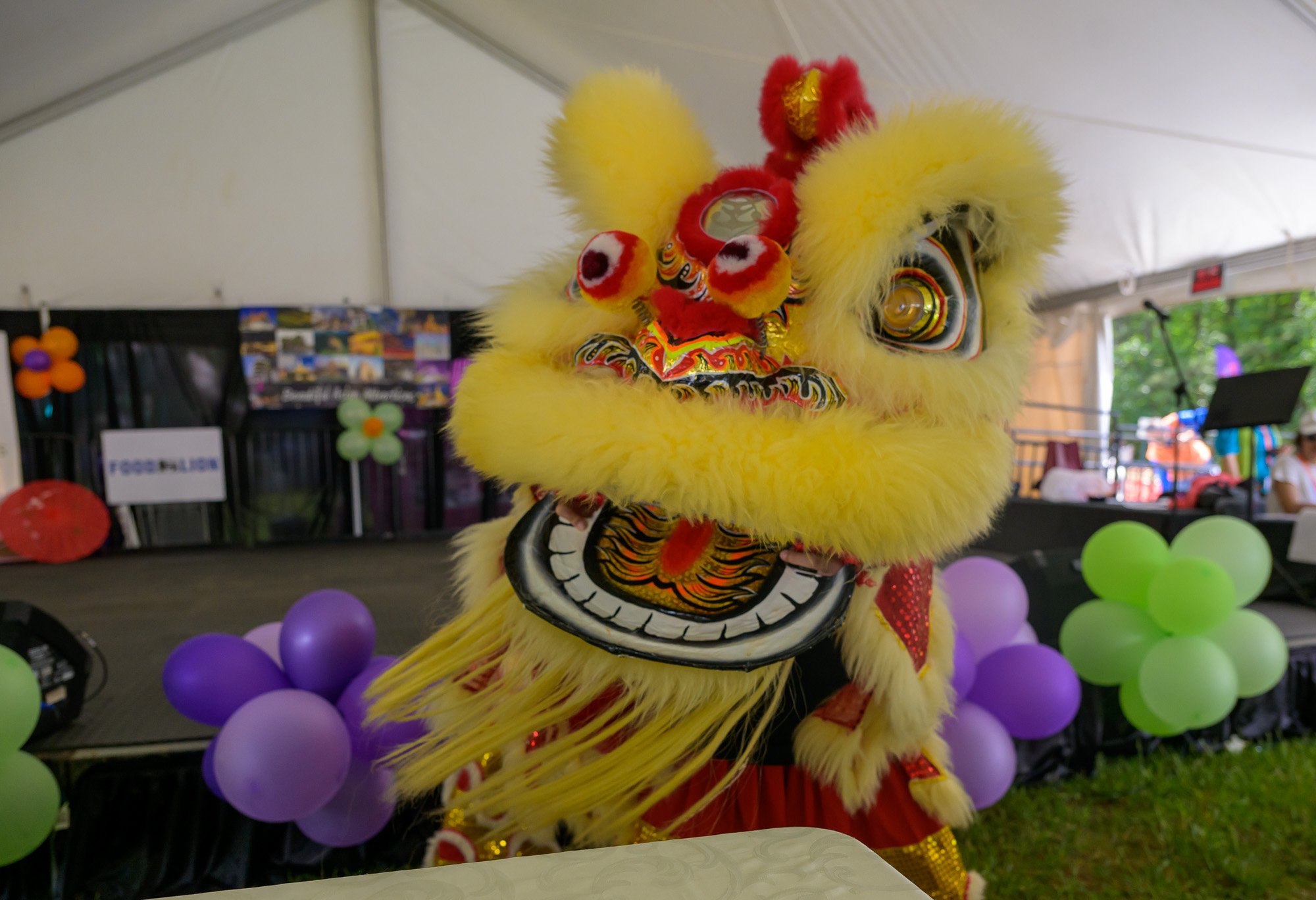 Asian Festival-90453.jpg