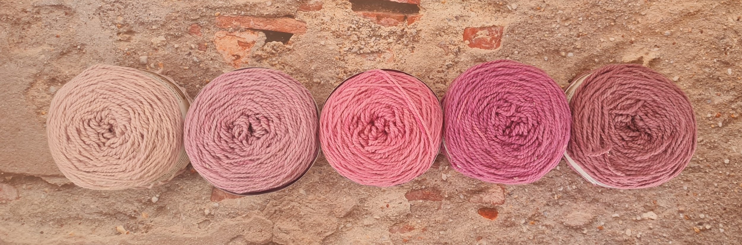 Sugar Plum Purples.jpg