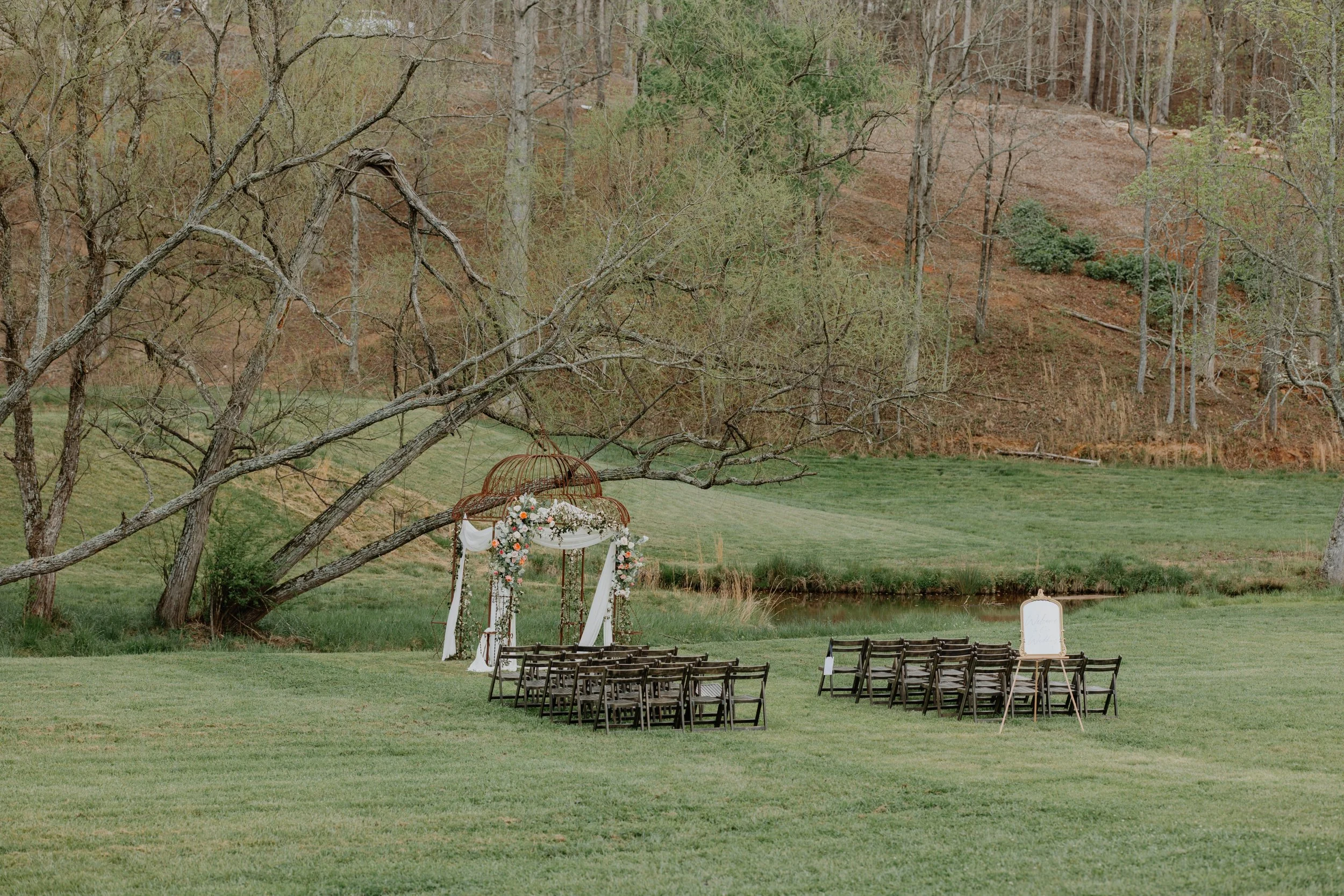 Lane Collins Photography
